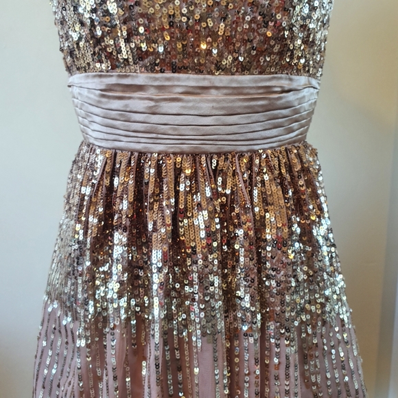 ❗️Host Pick❗️BCBGMAXAZRIA Gold Sequence Tulle Dress Size 2/XS - Picture 3 of 8